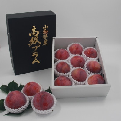 すもも『大玉貴陽』約1.8kg(7～10玉)【配送不可地域：離島】