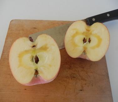 大森園のりんご　サンふじ特秀品約5kg20玉入