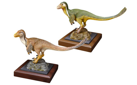 羽毛デイノニクス 完成品　荒木恐竜工房　恐竜　模型 1 ブラウン系