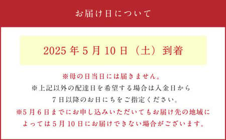 母の日 フラワーアレンジメント【ハッピー】【2025年5月10日にお届け】｜ 花 お花 生花 フラワーギフト カーネーション ガーベラ かすみ草 レースフラワー