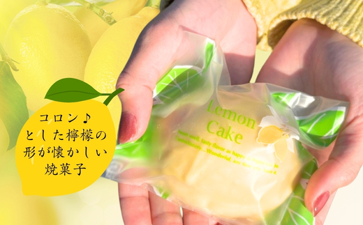 レモンケーキ6個詰め合わせ ｜ レモンケーキ 和菓子職人が作るレモン香る焼菓子 詰め合わせ レモン 和菓子 お菓子 ギフト 個包装 お中元 お歳暮  甘い 箱入り スイーツ おやつ レモンピール ふん