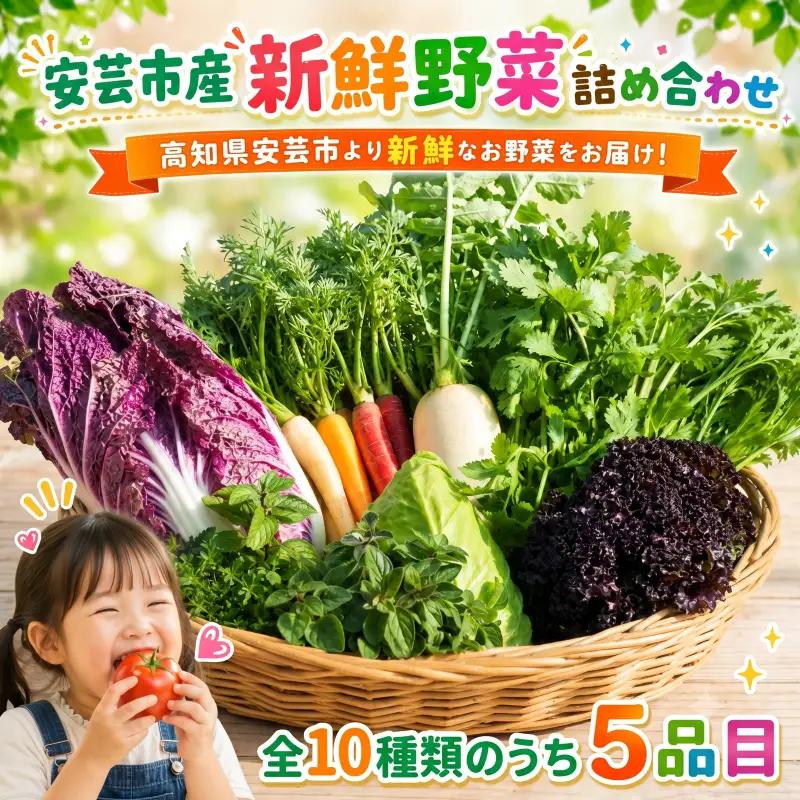 安芸野菜（全10種5品目前後）【野菜】CA001