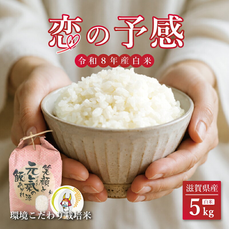 【ふるさと納税】 令和8年産 新米 ブランド米 " 恋の予感 " 5kg 環境こだわり栽培 ひこにゃん米 精米 米 お米 こめ ご飯 ごはん 白米 おにぎり お弁当 家庭用 こいのよかん 鹿谷ファーム 滋賀 彦根
