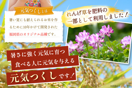 米 令和7年産 元気つくし 白米 10kg [um40azp240000] お米