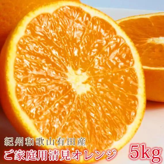 ［ご家庭用訳あり］紀州有田産清見オレンジ 約5kg［2027年3月下旬以降発送］［先行予約］［UT132］