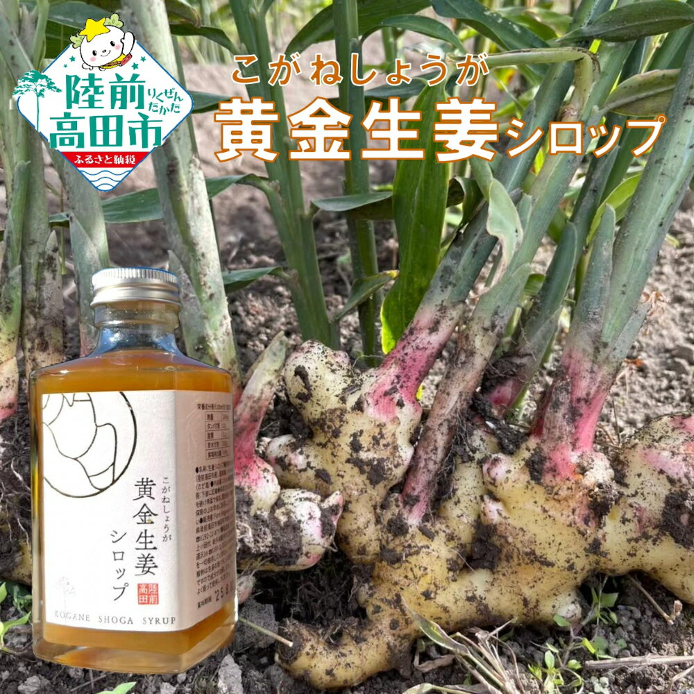 【ふるさと納税】濃厚 生姜 シロップ 200ml 本数が選べる 1本 2本 黄金生姜 使用 [ しょうが ショウガ ジンジャー 数量限定 調味料 料理 飲料 ドリンク お中元 お歳暮 手土産 ギフト プレゼント 贈り物 贈答品 産地直送 国産 岩手県 陸前高田市 Farm Koganeyama ]