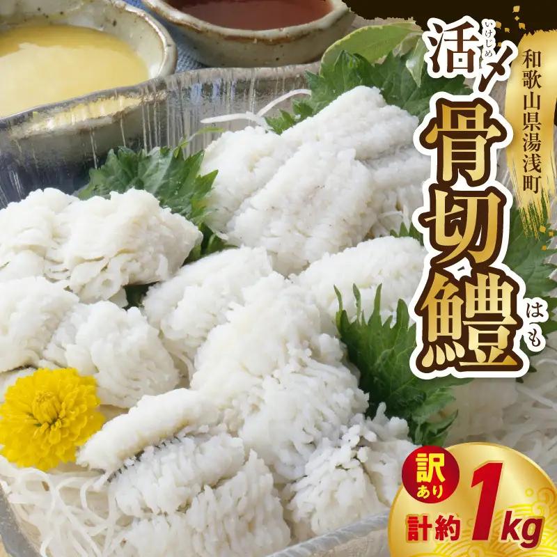 【訳アリ・業務用】活〆 加熱用 国産 骨切鱧 約1kg （200g〜300g程の大きさの鱧を3〜5匹）_SD1009