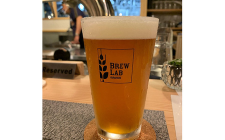 ＢＲＥＷ　ＬＡＢクラフトビール３本セット　ビール 地ビール クラフトビール IPA エール ビール 地ビール クラフトビール IPA エール ビール 地ビール クラフトビール IPA エール ビール 