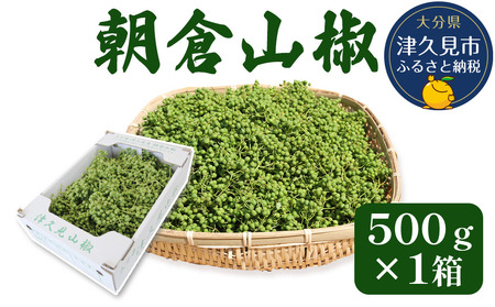数量限定！朝倉山椒 500g×1箱 生山椒 | 津久見市