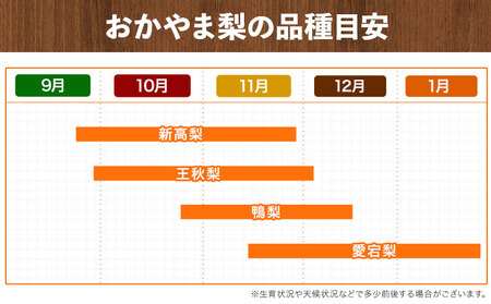 秀品 旬の梨 約2.5kg　なし 梨