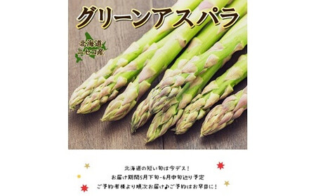 ＜早期予約・数量限定＞北海道ニセコ町 アスパラMサイズ1kg【2026年産】【3200101】
