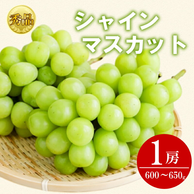 【ふるさと納税】 【2025年9月上旬より順次発送】【秀品】シャインマスカット 1房(600gから650g) マスカット シャインマスカット ぶどう 葡萄 ブドウ フルーツ 果物 くだもの 旬の果物 デザート スイーツ おやつ ゼリー ジュース 人気果物 人気フルーツ ランキング 香川 丸亀