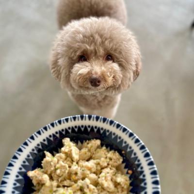 ふるさと納税 郡山市 ワンズバーグ　豚・鶏・馬<犬用おやつ>3種SET |  | 03