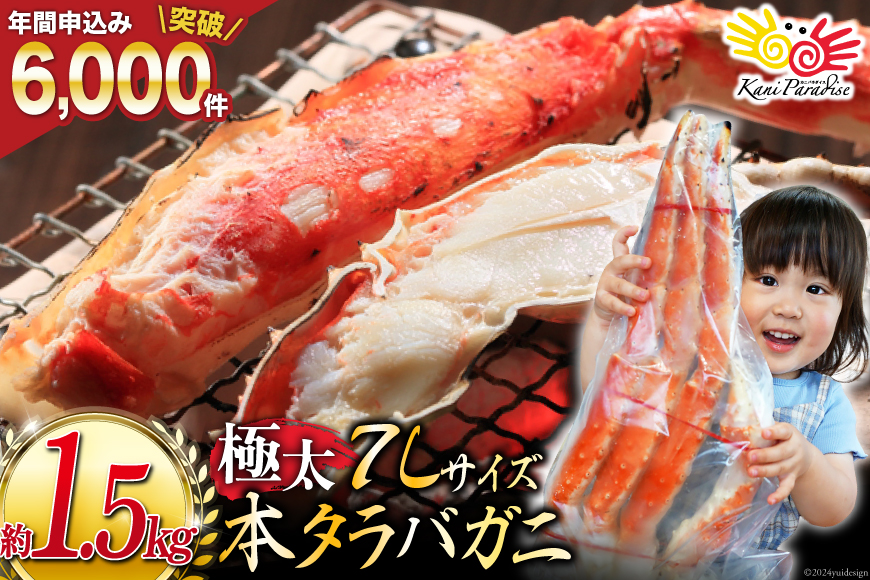 【年内配送 12/15まで受付】本 タラバガニ 脚 ボイル済 約1.5kg 極太7Lサイズ [カネダイ 宮城県 気仙沼市 20564326] カニ かに 蟹 たらばがに たらば蟹 タラバ蟹 たらば タラバ ボイル 