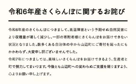 《先行予約》2025年 山形県産 さくらんぼ 佐藤錦 バラ詰め 1kg 秀 L サクランボ フルーツ F21A-335