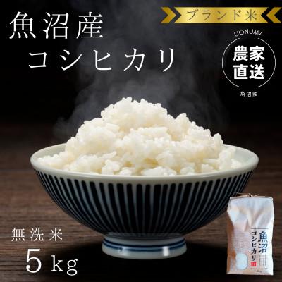 ふるさと納税 魚沼市 令和7年産 ブランド米 魚沼産コシヒカリ5kg 無洗米