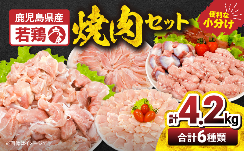 2653 若鶏焼肉4.2kgセット　KN105-001【株式会社 TRINITY】