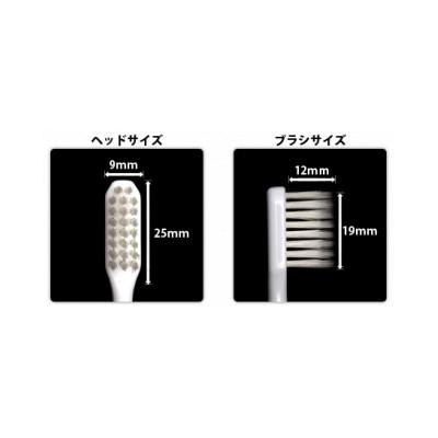 ふるさと納税 泉佐野市 GReeeeN 3列超極細毛歯ブラシSIRO SOH ふつう 6本セット 010B560 |  | 02