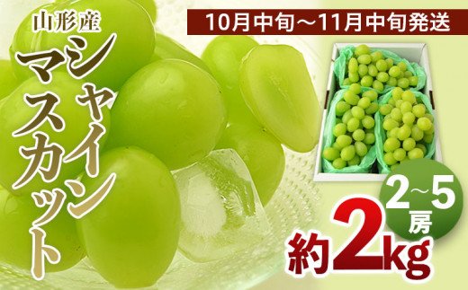 山形のシャインマスカット 秀品 約2kg(2～5房)[10月中旬～11中旬発送]【令和6年産先行予約】FU22-793