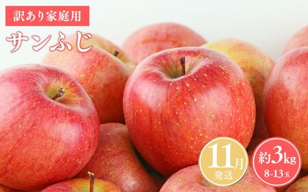 りんご  家庭用 サンふじ約3kg 青森県平川市産 [hi-0038-001-11]