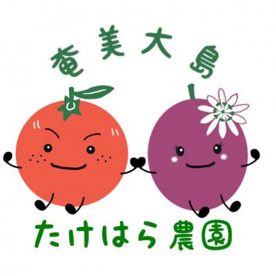 ふるさと納税 瀬戸内町 【先行受付】【2026年5月下旬以降順次発送】パッションフルーツ バラ詰め4.5kg |  | 01
