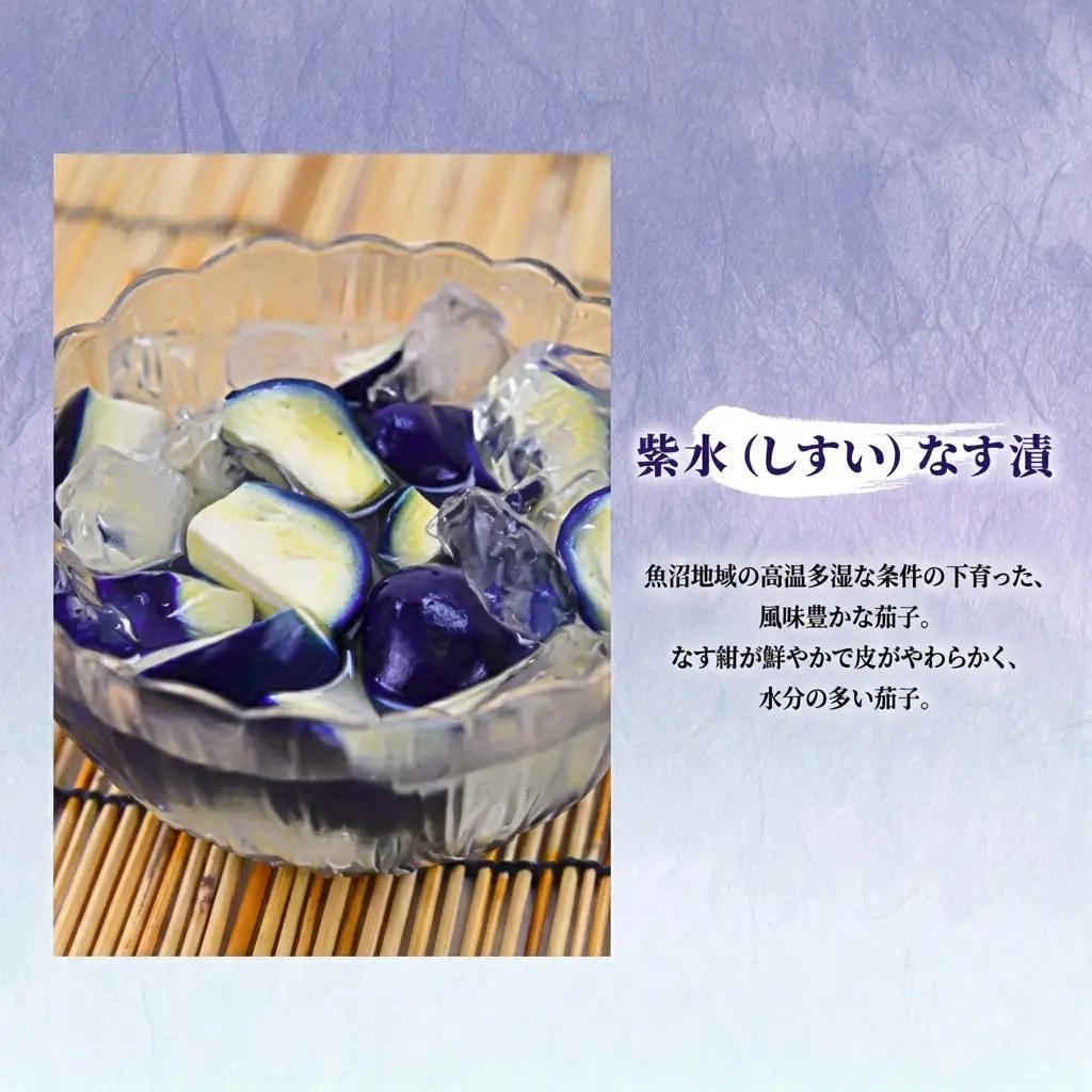 【季節限定】十全なす漬（6袋）【旬！7月～9月お届け】漬物