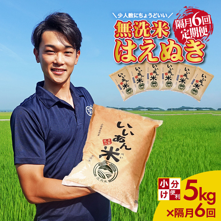 SF0207　【隔月6回定期便】無洗米はえぬき　5kg×6回(計30kg) 農家直送『いいあん米』 AG