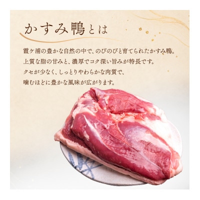 かすみ鴨むね肉　1羽分(800g～900g程度)| かも 鴨 茨城県かすみがうら市【配送不可地域：離島】