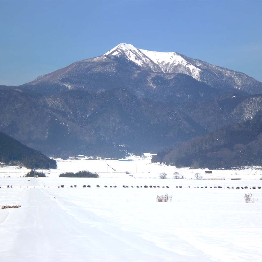 維新の一粒（特別栽培米阿東産コシヒカリ）精米5kg×4