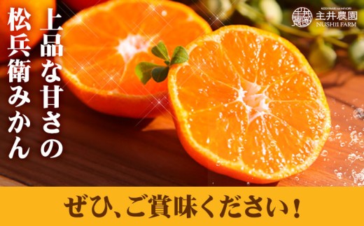 【2回定期便】主井農園の高級松兵衛みかん 2.5kg×2回 S～2Lサイズ(サイズおまかせ)《11月中旬-1月上旬頃出荷》主井農園 和歌山 和歌山みかん みかん ミカン 蜜柑 柑橘 果物 フルーツ