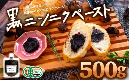 黒 ニンニク ペースト 500g ( 100g × 5パック ) 調味料 有機栽培 健康食品 有機JAS栽培 須崎市 にんにく ニンニク にんにく ニンニク にんにく ニンニク にんにく ニンニク にんにく ニンニク にんにく ニンニク にんにく ニンニク にんにく ニンニク にんにく ニンニク にんにく ニンニク にんにく ニンニク にんにく ニンニク にんにく ニンニク にんにく ニンニク にんにく ニンニク にんにく ニンニク にんにく ニンニク にんにく ニンニク にんにく ニンニク にんにく ニン