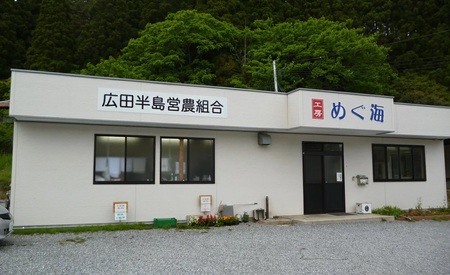 もっちり食感の おやき「わかめ」7個入り【 自然解凍で美味しい 工房めぐ海 手づくり 】