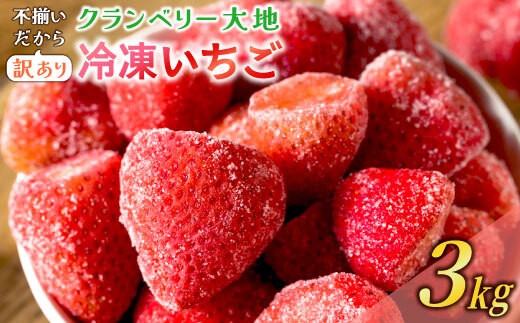 【訳あり】冷凍いちご　3kg (1㎏×3袋) いちごイチゴ 苺 冷凍 シェイク スムージー 冷たい グランベリー大地 茨城県 常総市