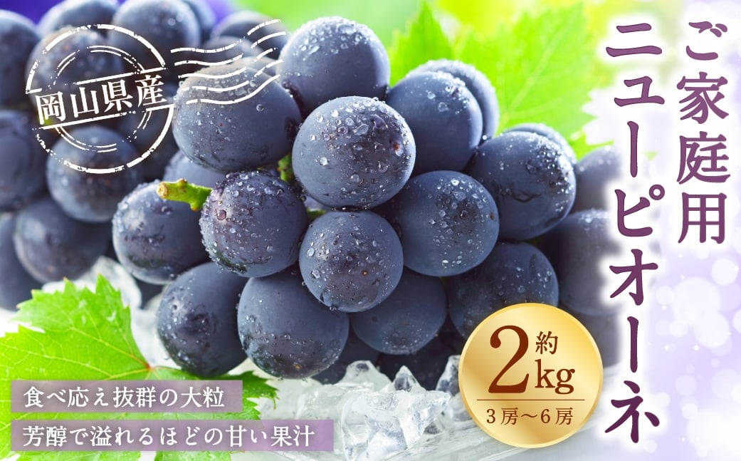 
                  ご家庭用 岡山県産 ニューピオーネ 約2kg （ 3房～6房 ） ぶどう ブドウ 葡萄 くだもの 果物 果実 フルーツ 国産 【 2026年8月下旬～9月下旬発送予定 】
                
