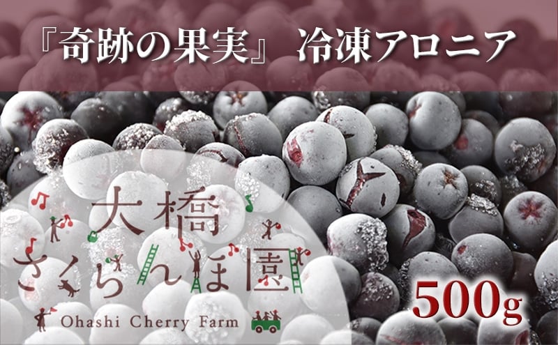 
            冷凍アロニア 500g 冷凍 アロニア 果物 くだもの フルーツ 旬の果物 旬のフルーツ 大橋さくらんぼ園 果物類 フルーツ デザート 完熟 急速冷凍 新鮮 美味しい 人気 冷凍配送 北海道 芦別市[№5342-0759]
          
