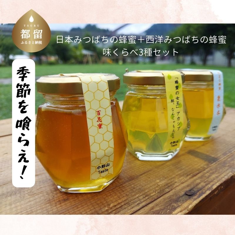 【ふるさと納税】 国産はちみつ 食べ比べ3種セット 100g×3本 計300g 日本みつばち アカシア 栗 ハチミツ 蜂蜜 山梨県 都留市
