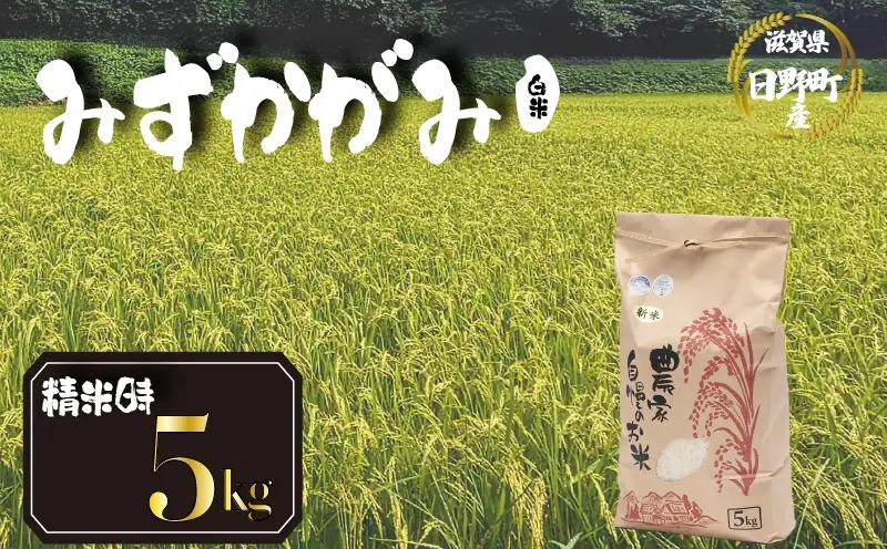 【先行予約】令和8年産 新米 みずかがみ 5kg 白米  米 【KW008】 近江米 精米