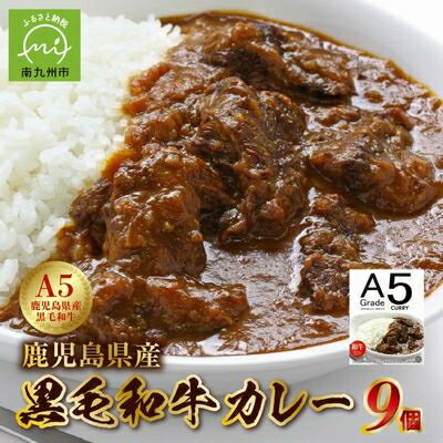 【ふるさと納税】5等級黒毛和牛カレー ごろごろお肉入り200g×9個【1186130】