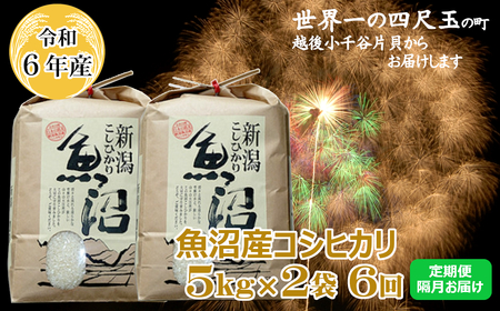 魚沼産コシヒカリ 定期便 5kg2袋×6回隔月 魚沼地域