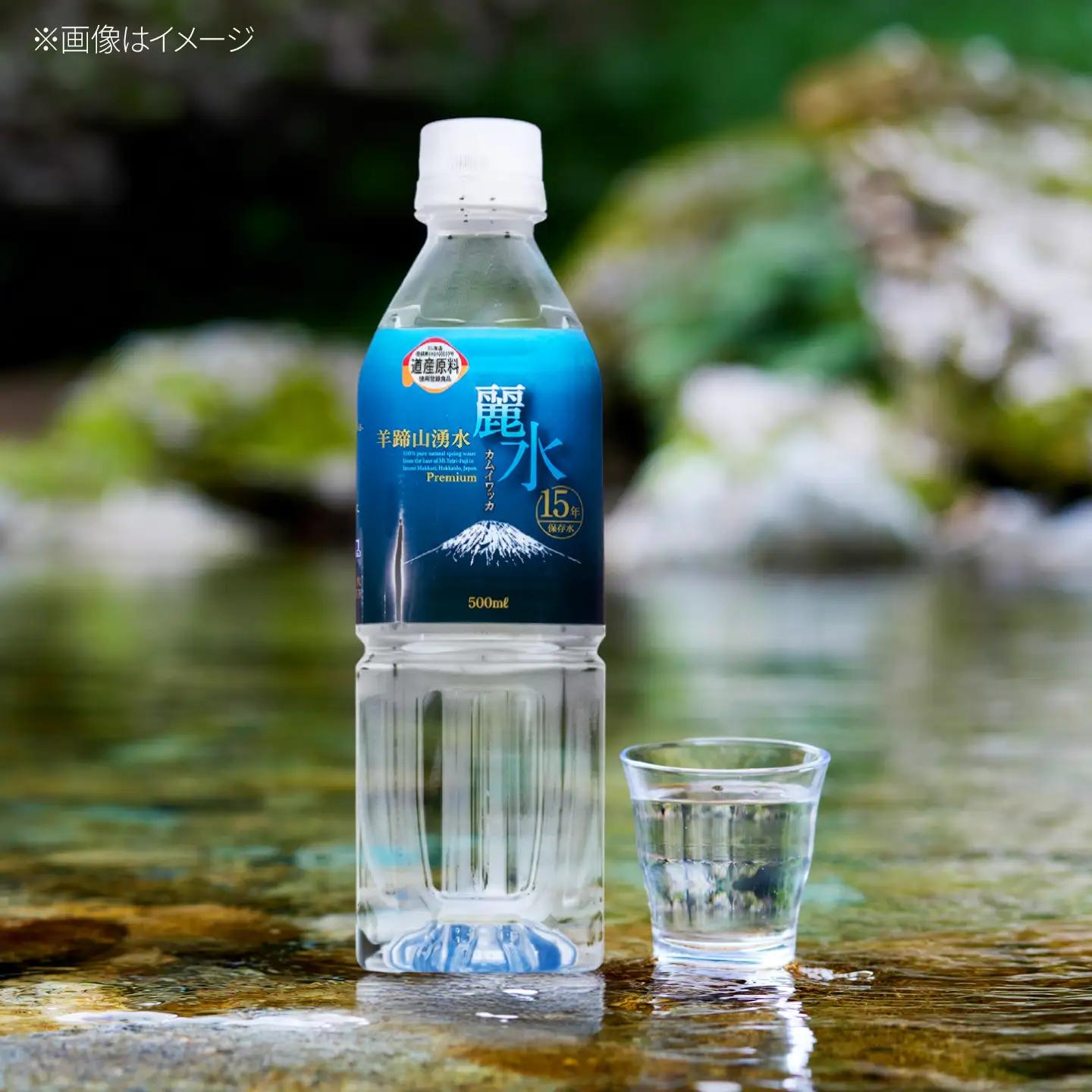 【ふるなびWEEK対象】≪15年≫ 保存水 500ml×24本 [BPAI003] 保存水