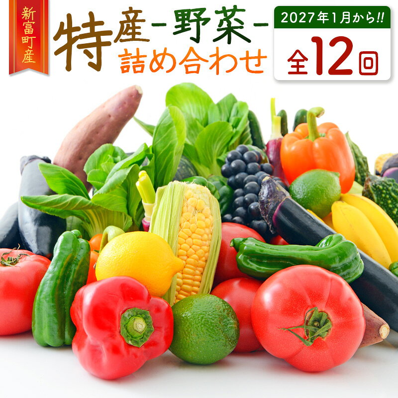 【ふるさと納税】＜数量限定＞新富町 特産 野菜 詰め合わせ 定期便 12か月コース 旬 やさい 国産 ≪2027年1月配送開始≫