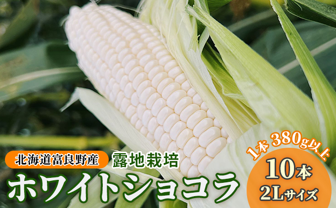 【2025年夏発送】北海道 富良野産 ホワイトショコラ 2Lサイズ 10本 露地栽培 白い とうもろこし (山本農園)