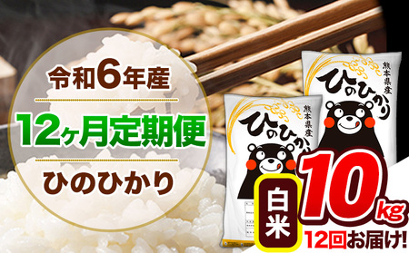 【12ヶ月定期便】令和6年産 定期便 ひのひかり白米 10kg 《申込み翌月から発送》｜人気米 熊本県産米 お米 生活応援米