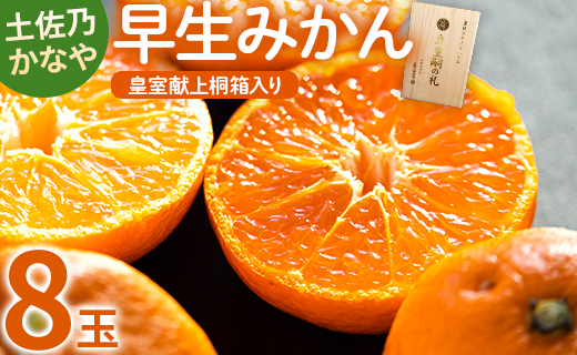 みかん 早生 8玉 桐箱入り 土佐乃かなや 早生みかん(立皇嗣の礼の刻印入桐箱使用) 贈答用 おくりものに最適 数量限定 11月配送開始 be-0066