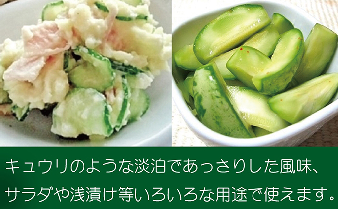 【お中元対応】『クラウンメロンの子メロン 4kg』 人気 厳選 ギフト 贈り物 デザート グルメ フルーツ 果物 袋井市 果物類 メロン青肉 