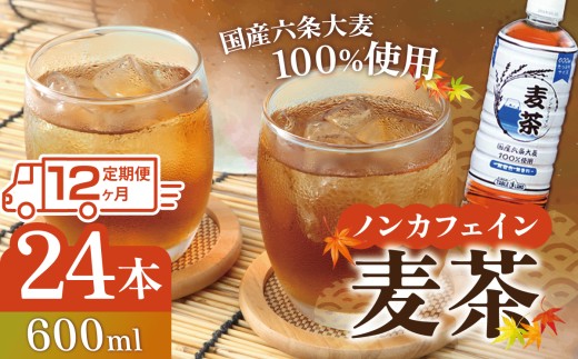 【 12ヵ月定期便 】 ノンカフェイン 麦茶 600ml×24本×1ケース 国産六条大麦100％使用 | お茶 茶 むぎちゃ 麦茶 ペットボトル 静岡県 小山町 麦茶