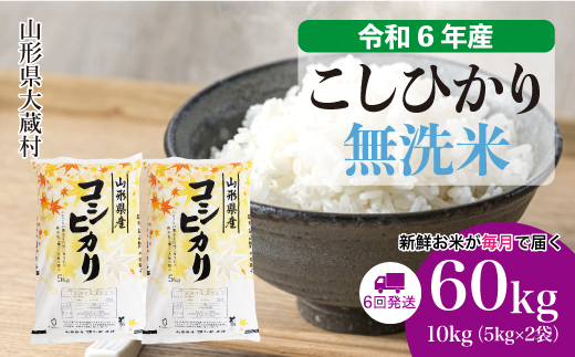 ＜令和6年産米＞ 令和7年2月上旬より配送開始 コシヒカリ【無洗米】60kg定期便(10kg×6回)　大蔵村