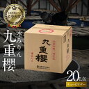 【ふるさと納税】本みりん 業務用 サイズ 九重櫻 20L キュービテナー 調味料 国産 全国酒類品評会名誉大賞受賞 三河 みりん 発祥 醸造元 九重味淋 醸造のまち碧南 国内産 水稲もち米 米こうじ 本格米焼酎 愛知県 碧南市 送料無料