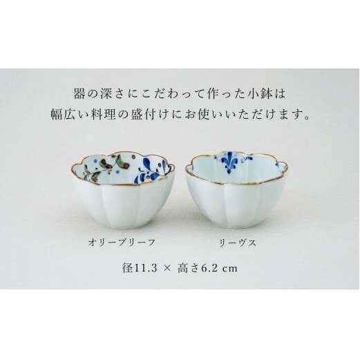 有田焼 花弁小鉢 Lサイズ 絵変わり 2点セット 【皓洋窯】食器 手描き うつわ 器 かわいい 花形 お家カフェ カフェ A20-624_イメージ3