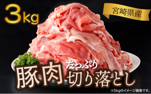 ＜2025年9月発送分＞宮崎県産 豚肉切り落とし 250g×12パック 合計3kg